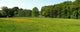 Summer Meadow Wall Decal Design 1