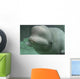 Beluga Whale Wall Decal