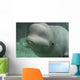 Beluga Whale Wall Decal