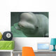 Beluga Whale Wall Decal