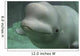 Beluga Whale Wall Decal