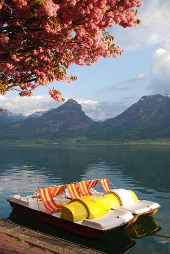Tretboot Am Wolfgangsee Wall Decal