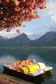 Tretboot Am Wolfgangsee Wall Decal