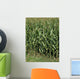 Cornfield Wall Decal
