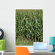 Cornfield Wall Decal