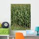 Cornfield Wall Decal
