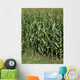 Cornfield Wall Decal