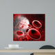 Blood Cells Wall Decal