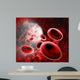 Blood Cells Wall Decal