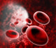 Blood Cells Wall Decal
