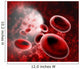 Blood Cells Wall Decal