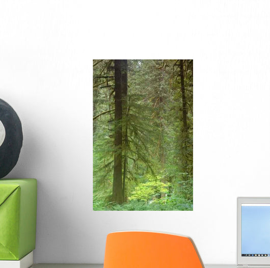 Pacific Northwest Forest Wall Decal Design 3