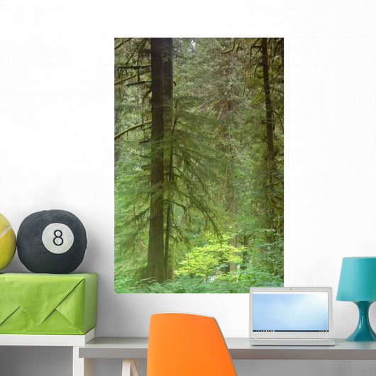 Pacific Northwest Forest Wall Decal Design 3
