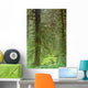 Pacific Northwest Forest Wall Decal Design 3