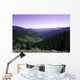 Rocky Mountains Wall Decal