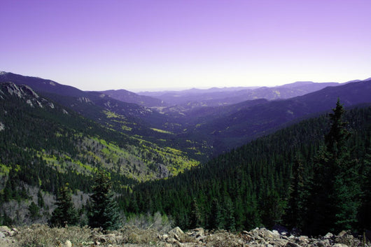 Rocky Mountains Wall Decal