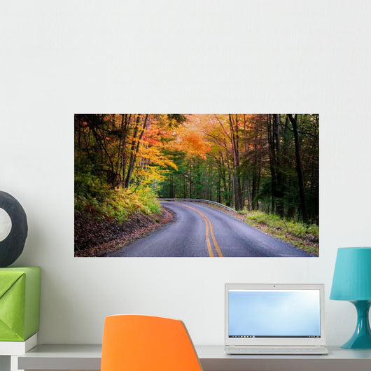 Beautiful Autumn Drive Wall Decal