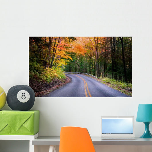Beautiful Autumn Drive Wall Decal