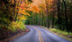 Beautiful Autumn Drive Wall Decal