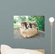 Three Beagle Puppies Wall Mural