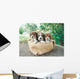 Three Beagle Puppies Wall Decal