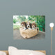Three Beagle Puppies Wall Mural