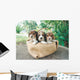 Three Beagle Puppies Wall Decal