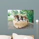 Three Beagle Puppies Wall Mural