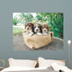Three Beagle Puppies Wall Mural