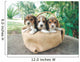 Three Beagle Puppies Wall Mural