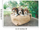 Three Beagle Puppies Wall Decal