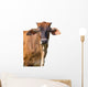 Brown Cow Face Wall Decal
