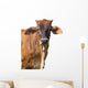 Brown Cow Face Wall Decal