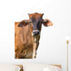Brown Cow Face Wall Decal