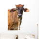 Brown Cow Face Wall Decal