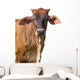 Brown Cow Face Wall Decal