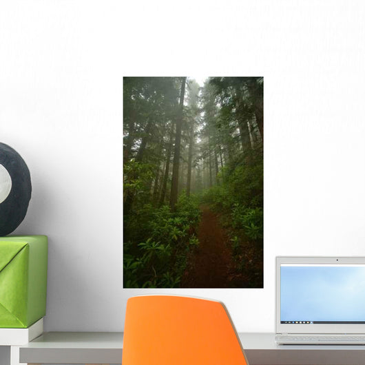 Pacific Northwest Forest Wall Decal Design 2