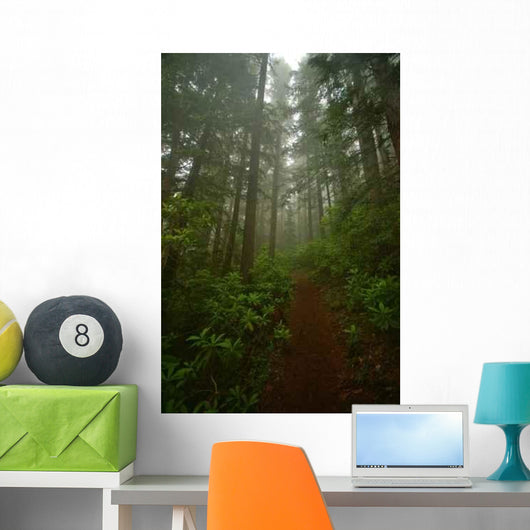 Pacific Northwest Forest Wall Decal Design 2