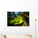 Pacific Northwest Forest Wall Decal Design 1