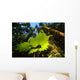 Pacific Northwest Forest Wall Decal Design 1