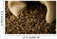 Coffee Beans Wall Decal