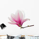 Pink Magnolia Flower Wall Decal
