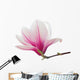 Pink Magnolia Flower Wall Decal