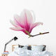 Pink Magnolia Flower Wall Decal