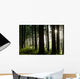 Forest Floor Wall Decal