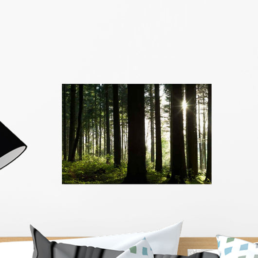 Forest Floor Wall Decal