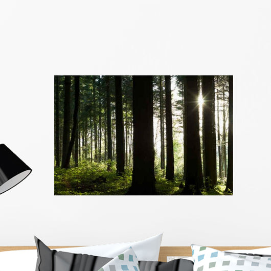 Forest Floor Wall Decal