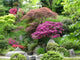 Jardin Zen Wall Decal