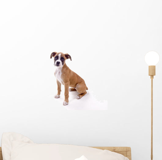 Perfect Boxer Puppy Wall Decal