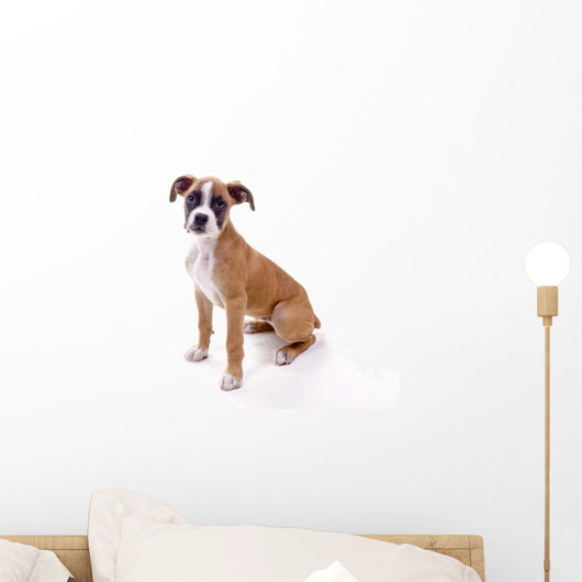 Perfect Boxer Puppy Wall Decal